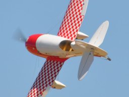 Flugtag 2022